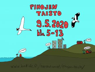 Pihojen taisto 6